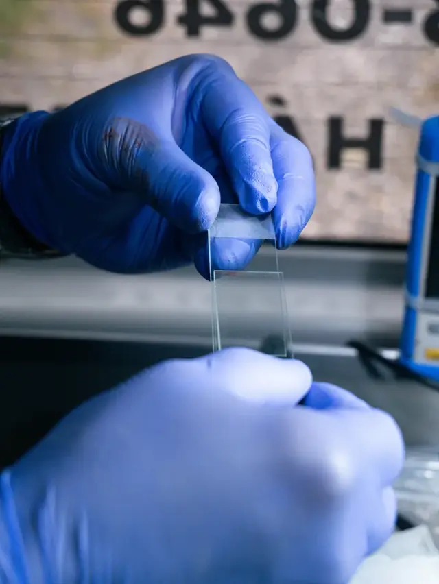 Contenido para centros medicos, dentistas, veterinarios